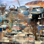 同期と博物館に行きました！！